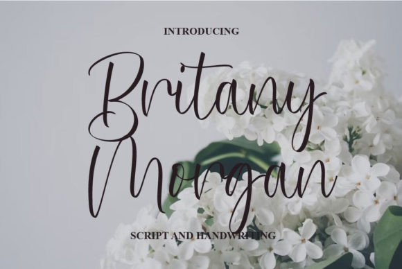 Britany Morgan Typeface Review: Elevating Digital Brand Identity