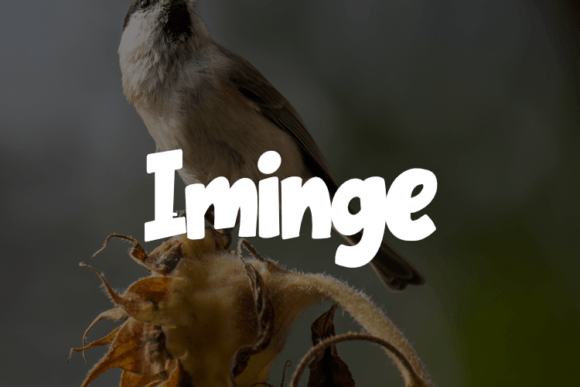 Iminge Typeface Review: Elevating Editorial Design with Script Amp