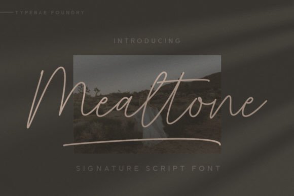 Mealtone: The Handwritten Typeface for Authentic Brand Identity