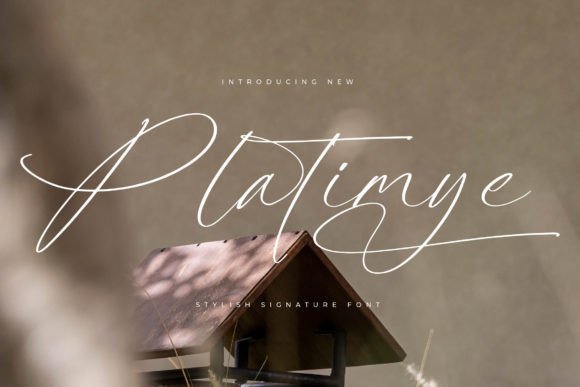 Platimye: Elevate Your Small Business Brand Identity